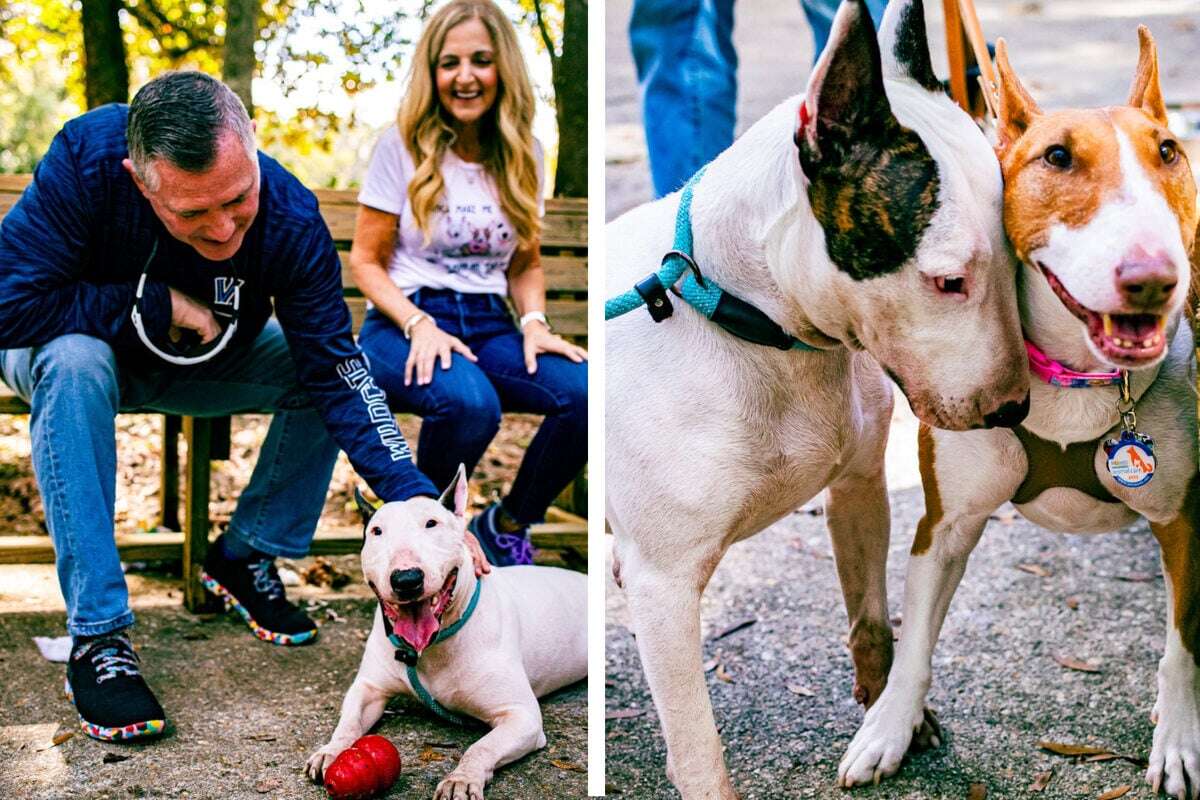 Im Hurrikan ausgesetzter Hund erlebt sein Happy End: 