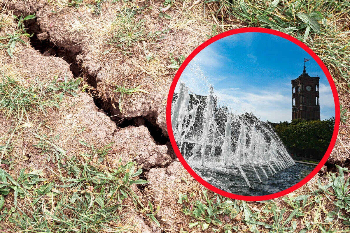 Grundwasser wird knapp: Sitzen Berlin und Brandenburg bald auf dem Trockenen?