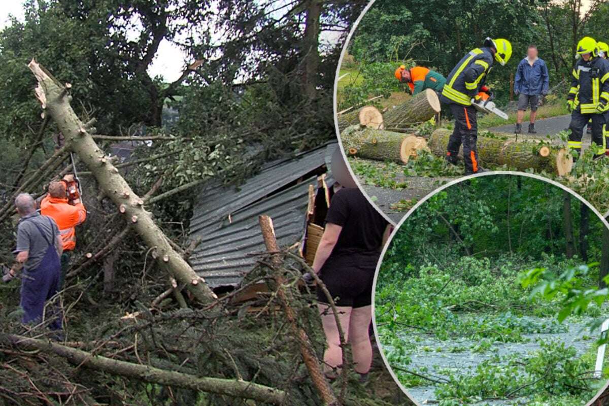 Unwetter fegt übers Vogtland: Mehrere Bäume stürzen um!