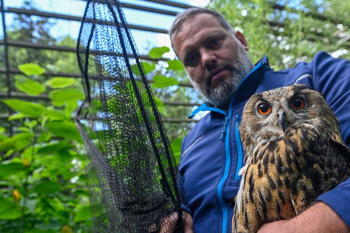 Neustart in Weißewarte: Kommt jetzt wieder Leben in den Wildpark?