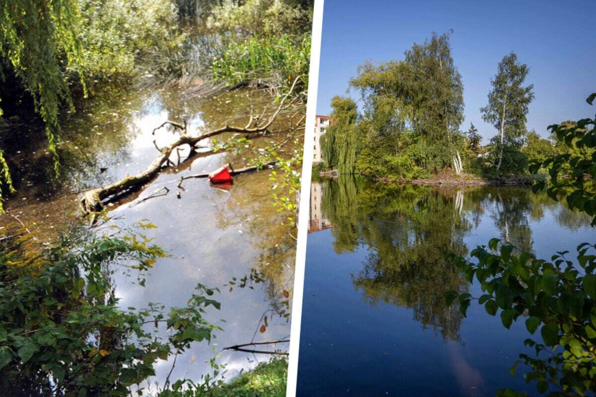 Vom Schandfleck zur Wohlfühloase: Chemnitzer Knappteich feiert Jubiläum