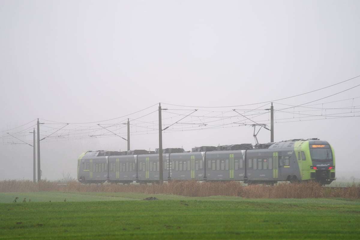 Schrecklicher Fund im Gleisbett! Strecke Hamburg – Sylt gesperrt