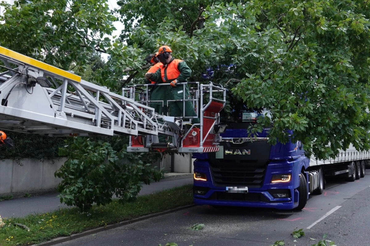 Lkw bleibt an Baum hängen und droht umzukippen