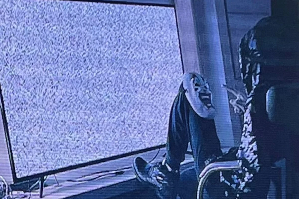 Cyber-Killer 