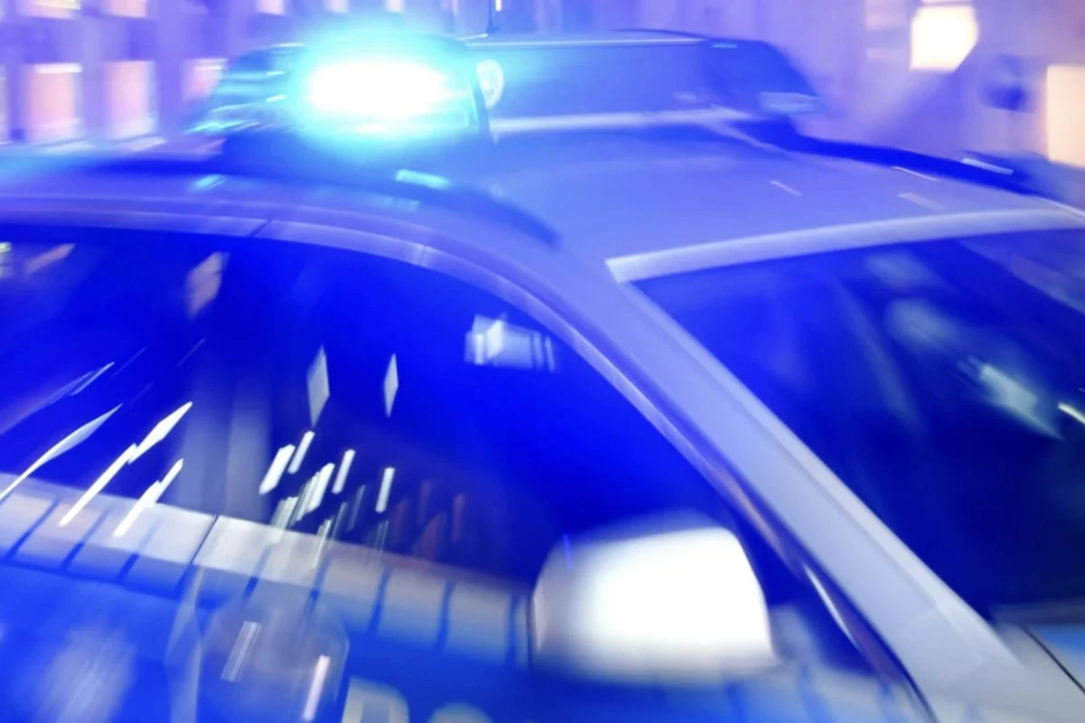 Kurioser Diebstahl: Einbrecher klauen zwei 150-Kilo-Statuen