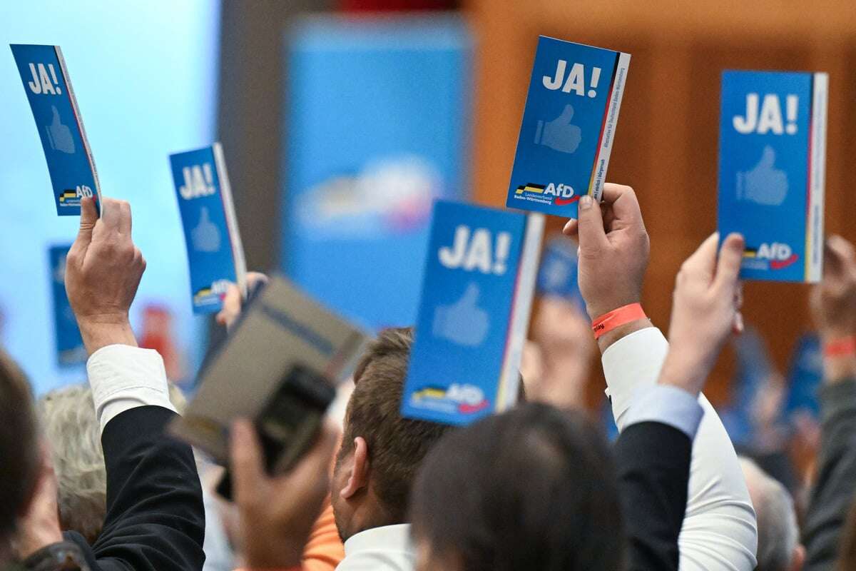 Zusammenarbeit mit AfD? So viele Baden-Württemberger sind dafür!