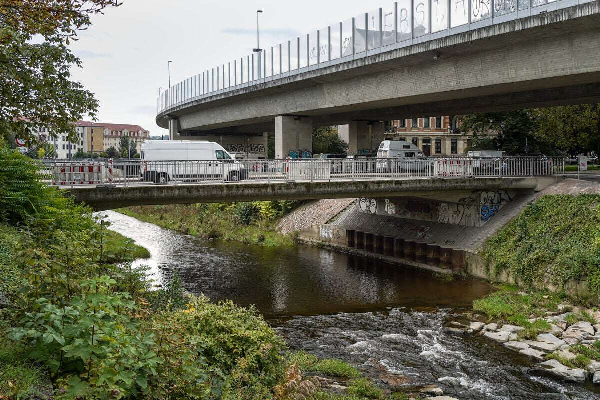 Prüfer nehmen diese Dresdner Brücke jetzt ins Visier