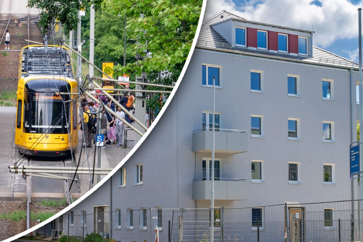 Ergebnisse von Bürgerumfrage da! Was Dresdner sich für Dresden wünschen