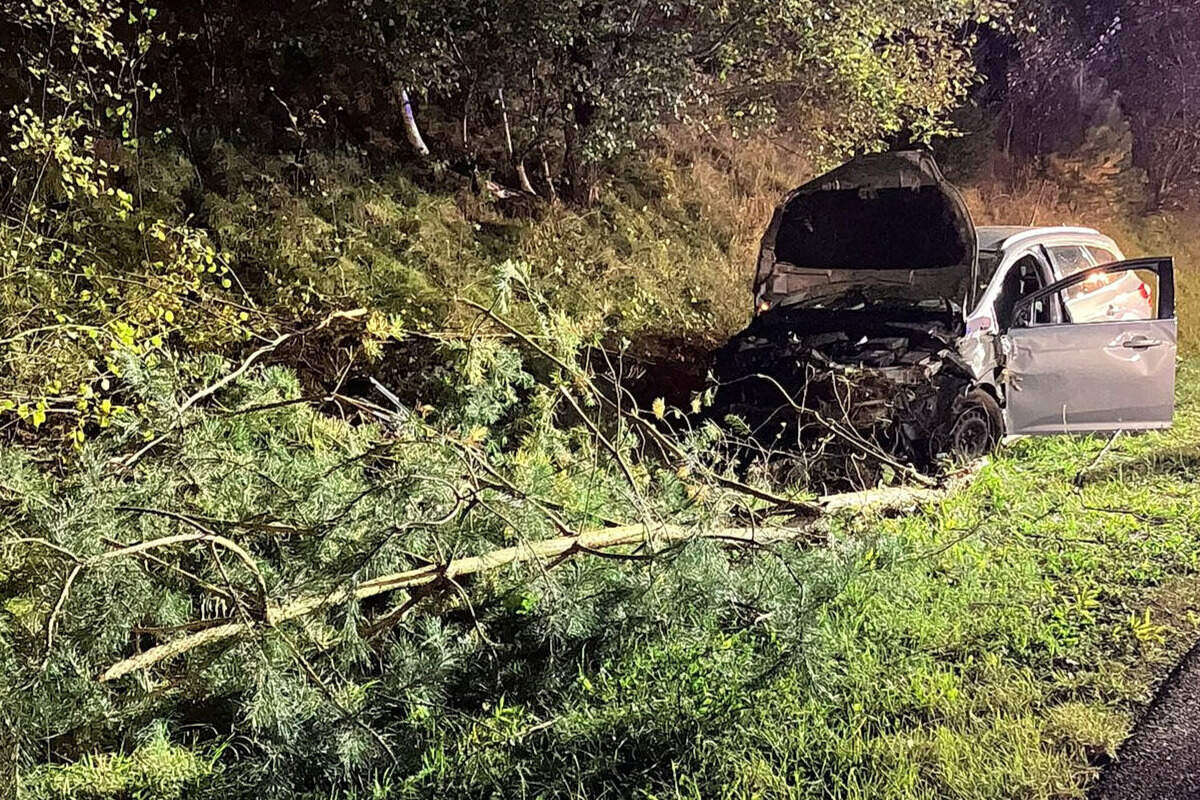 Heftiger Crash nahe der A38: Ford-Fahrerin im Krankenhaus, Wildschwein tot