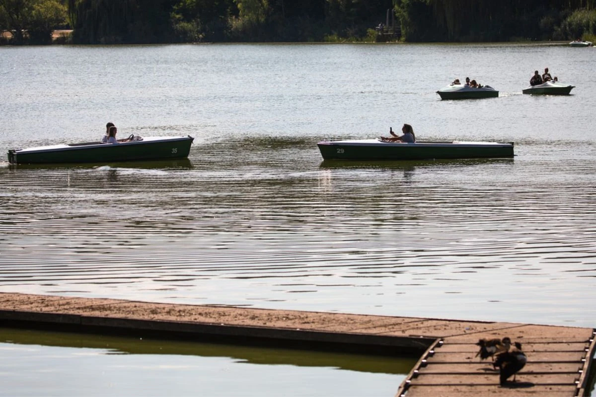 Niedrigwasser in Stuttgarter Seen und Bächen: Das sind die Auswirkungen
