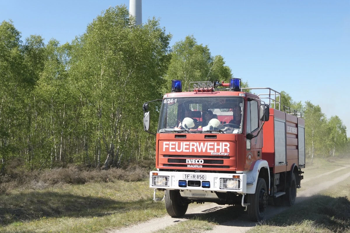 Waldbrandgefahr in Hamburg: Behörde schlägt Alarm