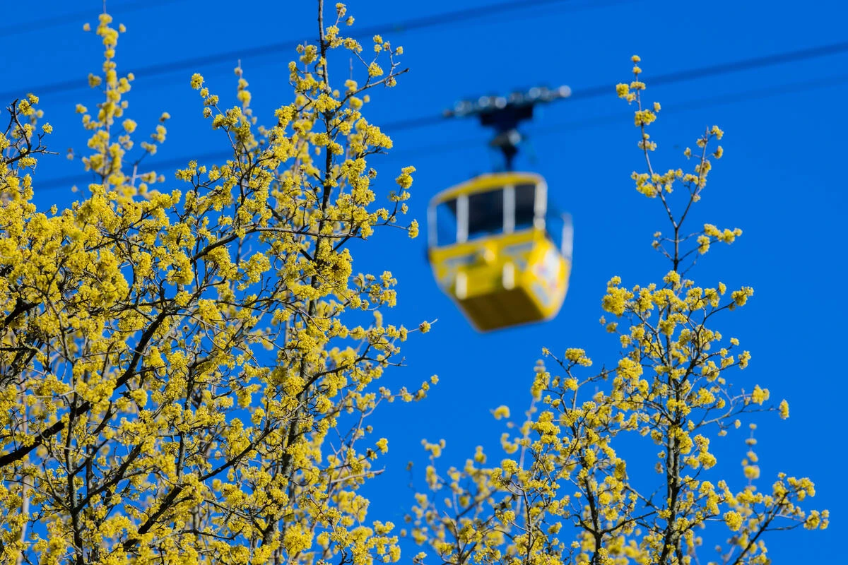 Sternenhimmel über Köln: Seilbahn lädt zur besonderen Nachtfahrt ein
