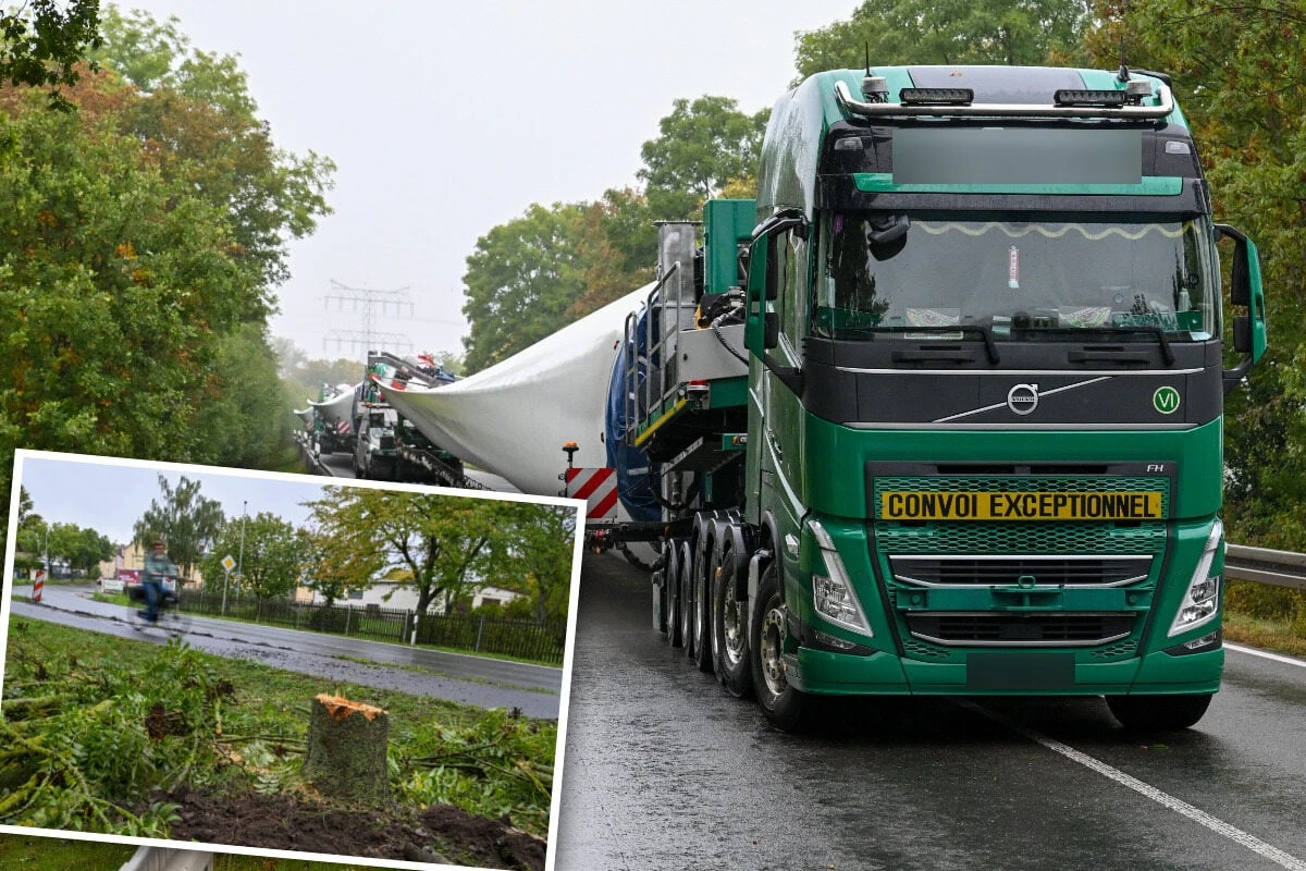 Planungspfusch bei Windrad-Transport: Hier steckt die 