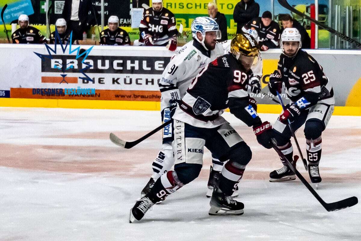 Dresdner Eislöwen: Glanzleistung gegen die Towerstars