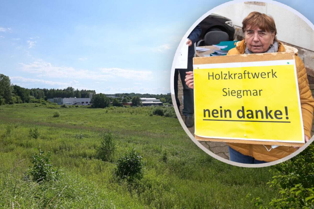 Umstrittenes Holzkraftwerk wird in Chemnitz gebaut