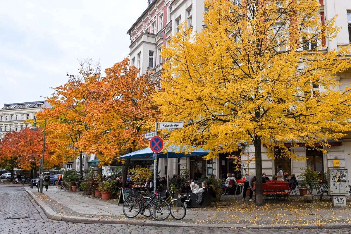 Orkan bläst Winter in Berlin und Brandenburg weg: Hallo, Frühling!