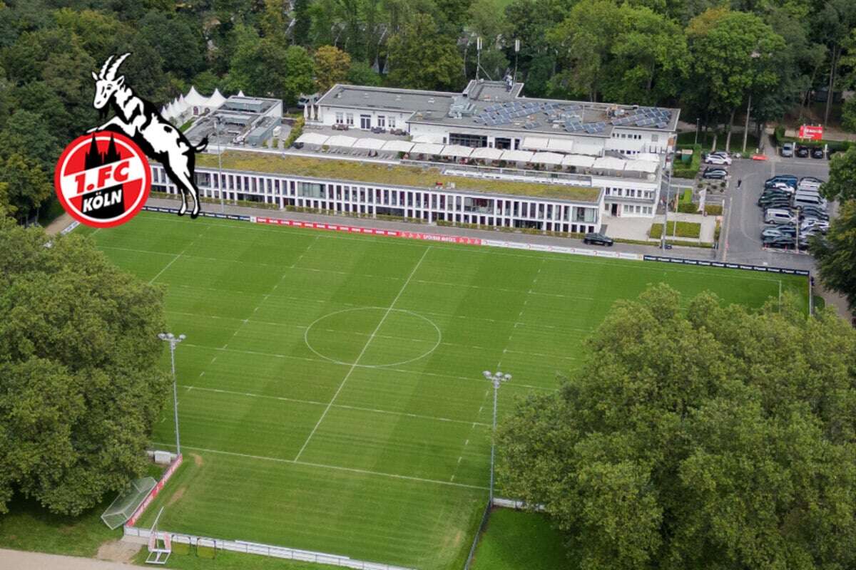 Durchbruch erzielt? 1. FC Köln verkündet Neuigkeiten in Geißbockheim-Posse