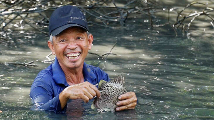 Dỡ chà bắt cá nâu, cách làm du lịch độc đáo của nông dân Cà Mau