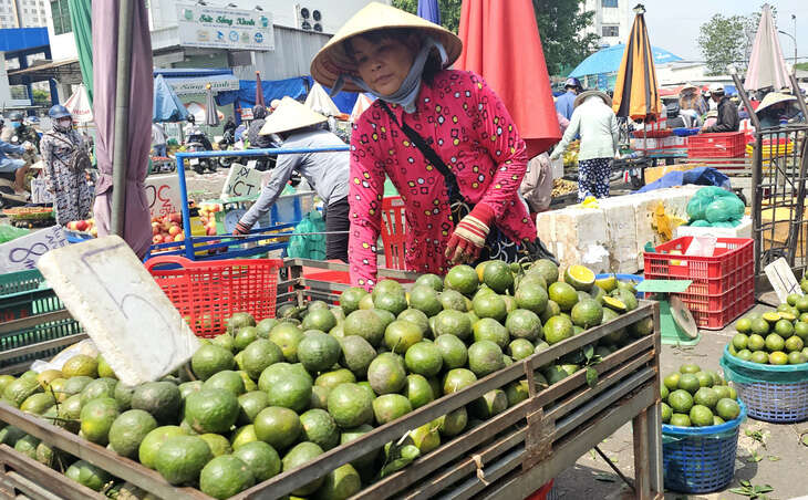 Ký cam sành chỉ bằng ly trà đá, siêu thị tăng tiêu thụ