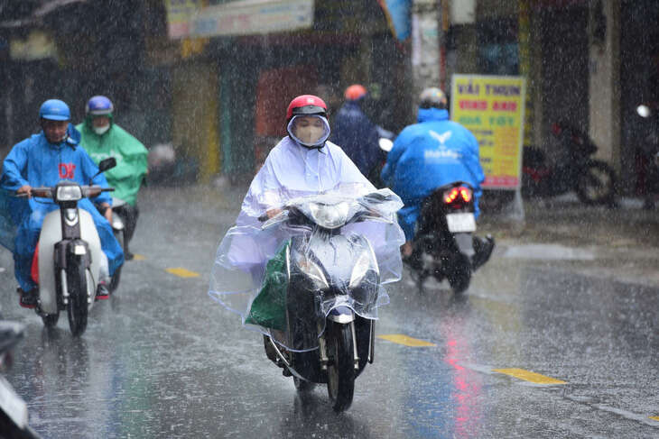 Mưa lớn, Củ Chi, Hóc Môn, quận 12 phải sẵn sàng ứng phó vỡ bờ bao sông Sài Gòn