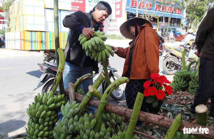 Vì sao nải chuối trên bàn thờ gia tiên thường không thể thiếu với người Huế trong ngày Tết?