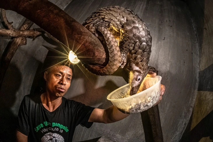 Nạn ăn thịt thú rừng: Đừng chỉ dừng ở kêu gọi, vận động