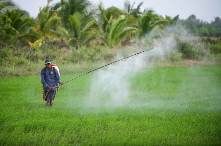 Đất nông nghiệp suy kiệt trong khi hơn 150 triệu tấn phụ phẩm nông nghiệp bị lãng phí