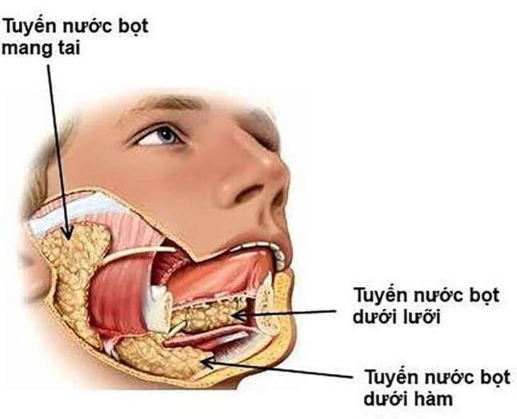 Những thay đổi về nước bọt: dấu hiệu tình trạng sức khỏe