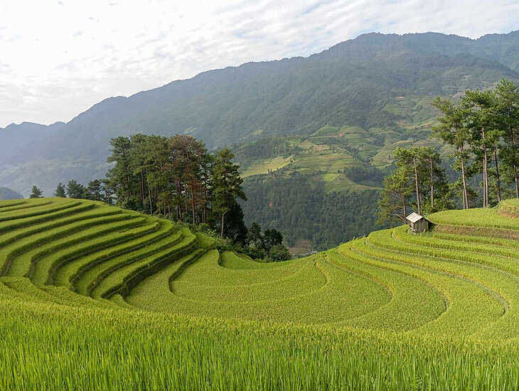 Hoàng Su Phì, Mù Cang Chải sẵn sàng đón du khách săn mùa vàng