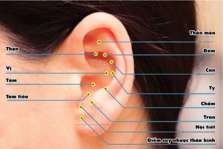 Kỳ thú xem bệnh và chữa bệnh qua lỗ tai