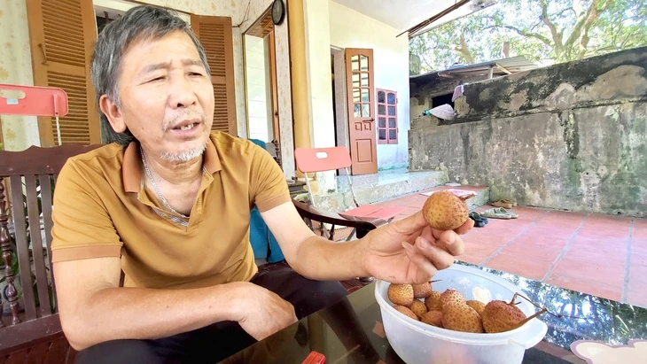 Cụ vải trứng 100 tuổi giúp dân làm giàu