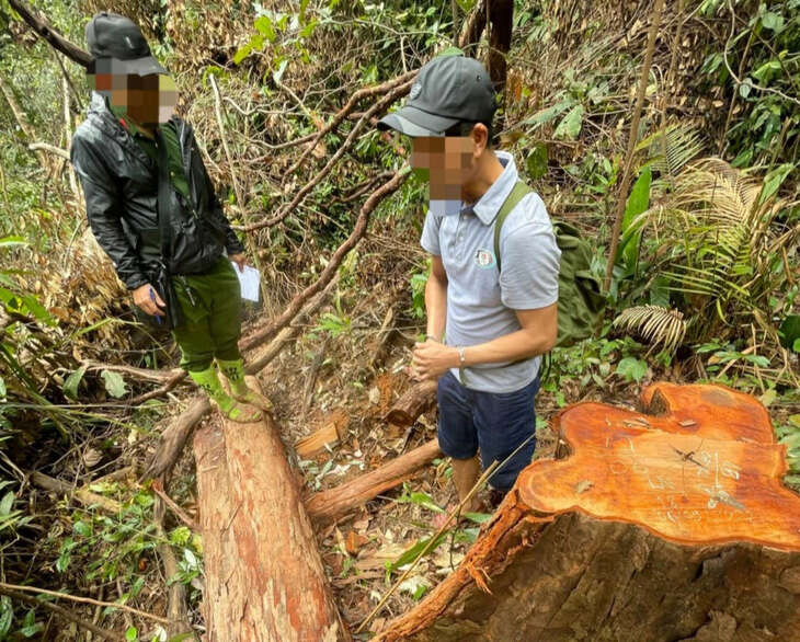 Thành viên nhóm phá rừng quy mô lớn tại Kon Tum ra đầu thú