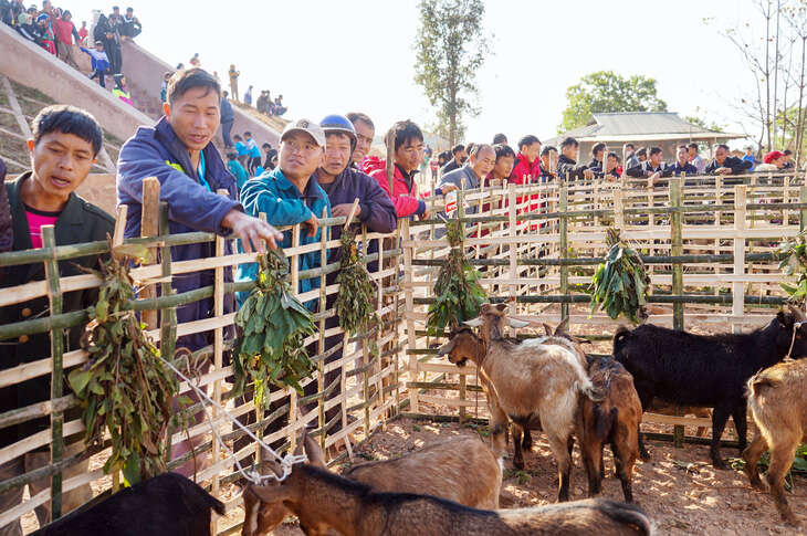 Cuối năm đi chợ Hạnh Thương, người bán 0 đồng, người mua có quà Tết đủ đầy