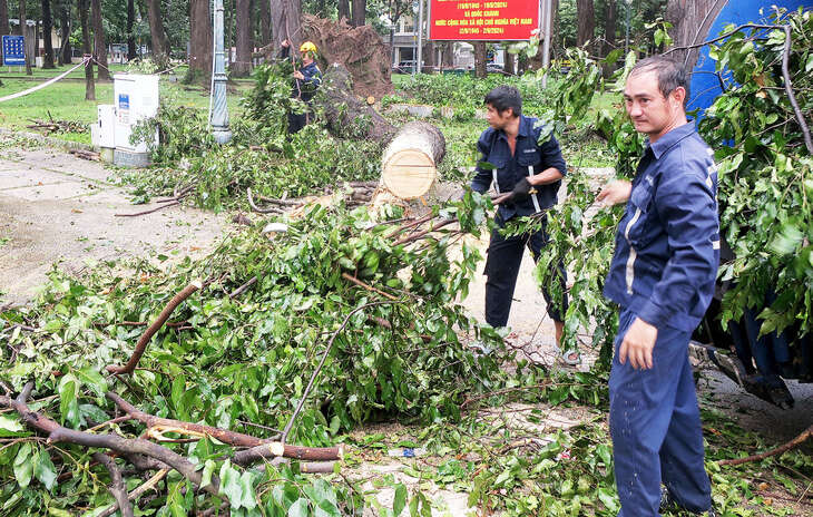 Nam Bộ mưa to gió lớn do ảnh hưởng siêu bão Yagi