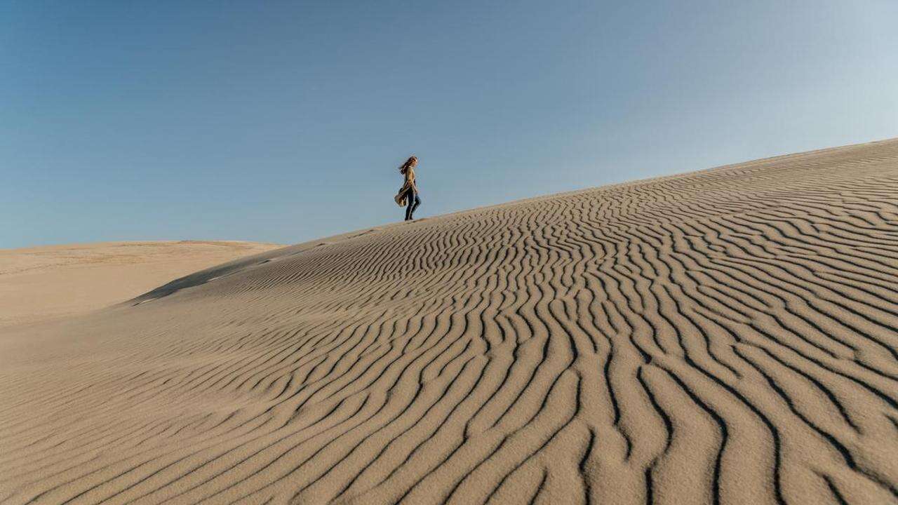 Dove Mare del Nord e Baltico si incontrano e scontrano: dune, ambra e tanta natura nello Jutland settentrionale