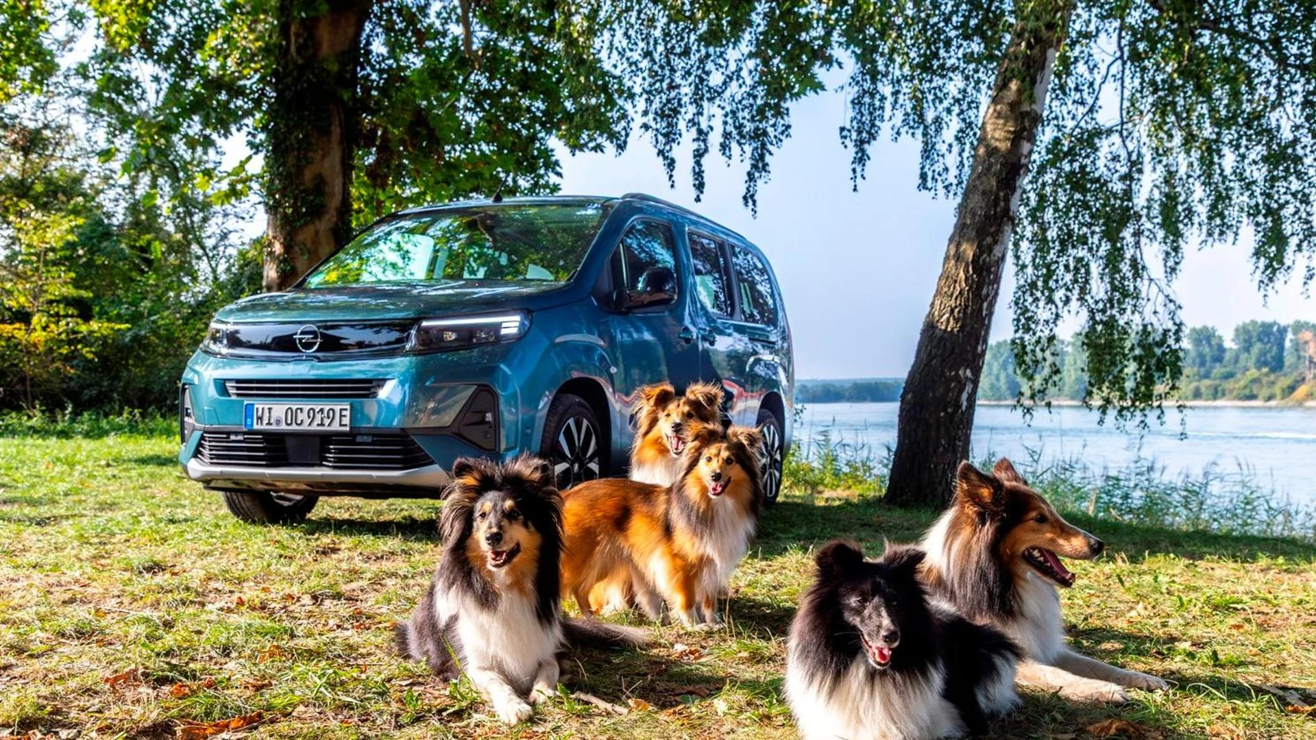 L’auto più amata dai cani? Una Opel Combo speciale