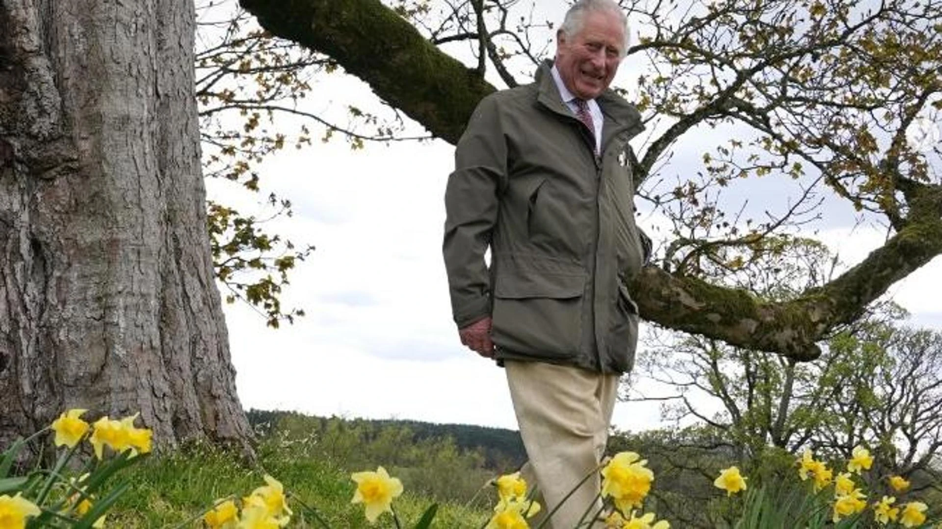 Dimissioni in massa tra i giardinieri di Re Carlo. Cosa succede nella tenuta di Highgrove House?