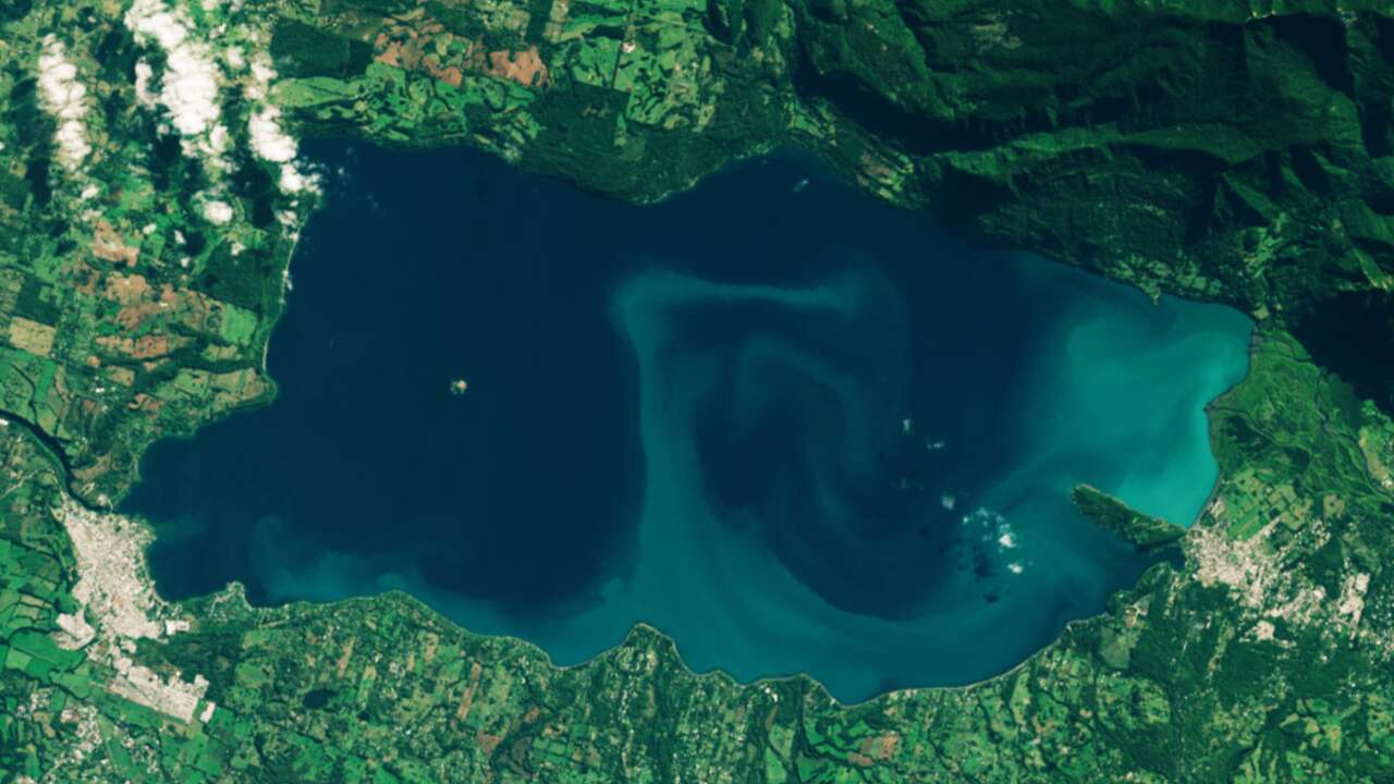 La fioritura tossica del lago delle Ande si vede anche dallo spazio