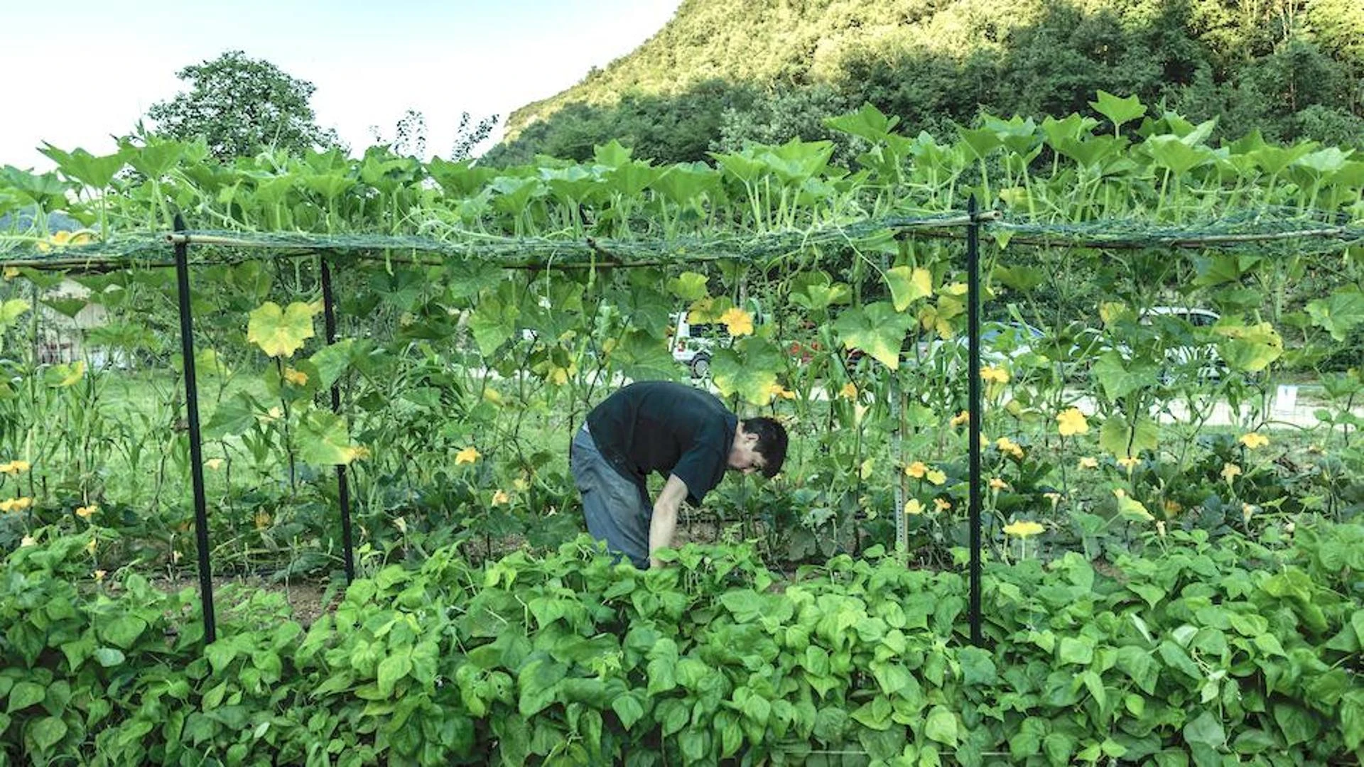 Dal mare ai monti, l’innovativo modello di agricoltura sociale che fa rivivere le valli