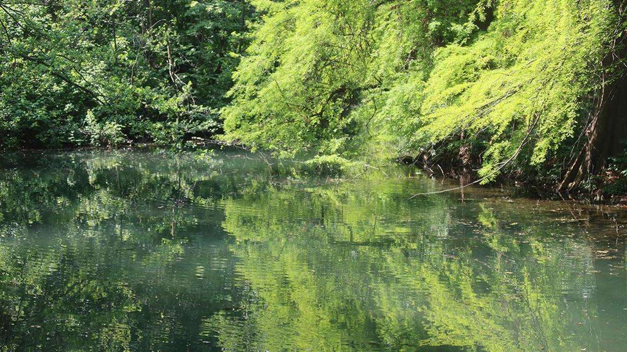 150 anni dalla morte di Manzoni: Milano tra fiori, piante, giardini e orticola