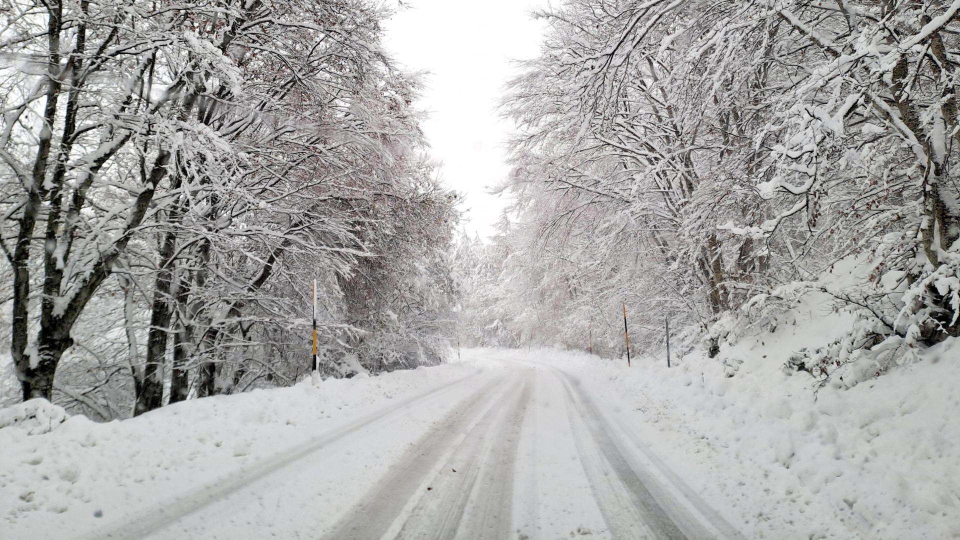 Maltempo in Emilia Romagna, evacuazione nel Bolognese e scuole chiuse a Modena. Freddo e neve al Centro Sud