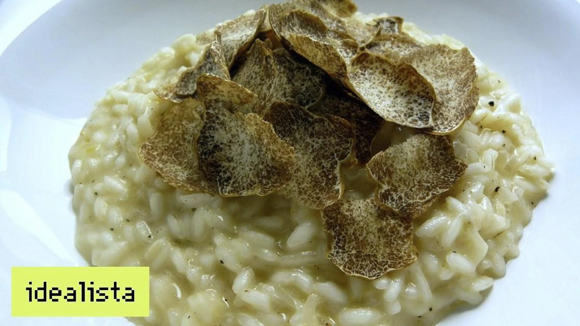 Scopri la Fiera del Tartufo Bianco d’Alba: ecco il programma da non perdere