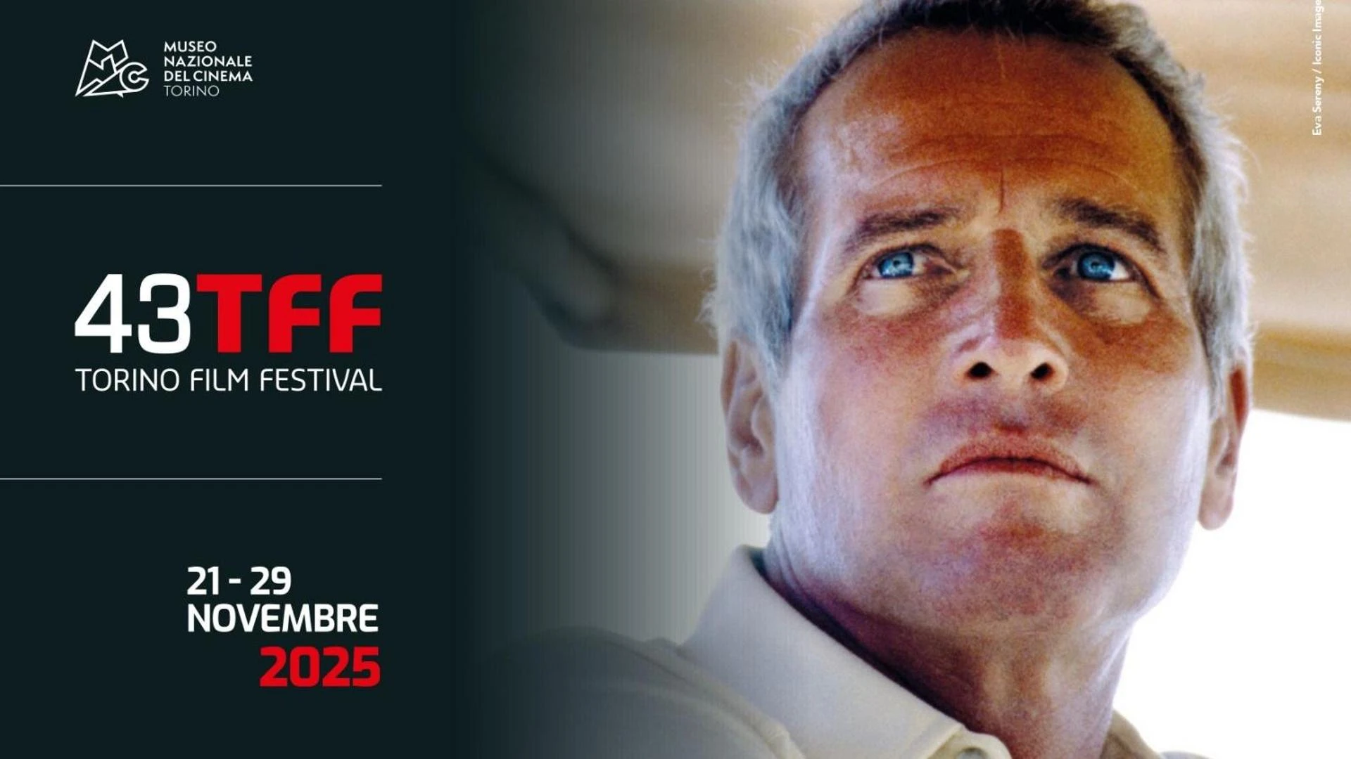 Torino Film Festival nel centenario di Paul Newman: dedicati a lui retrospettiva e manifesto