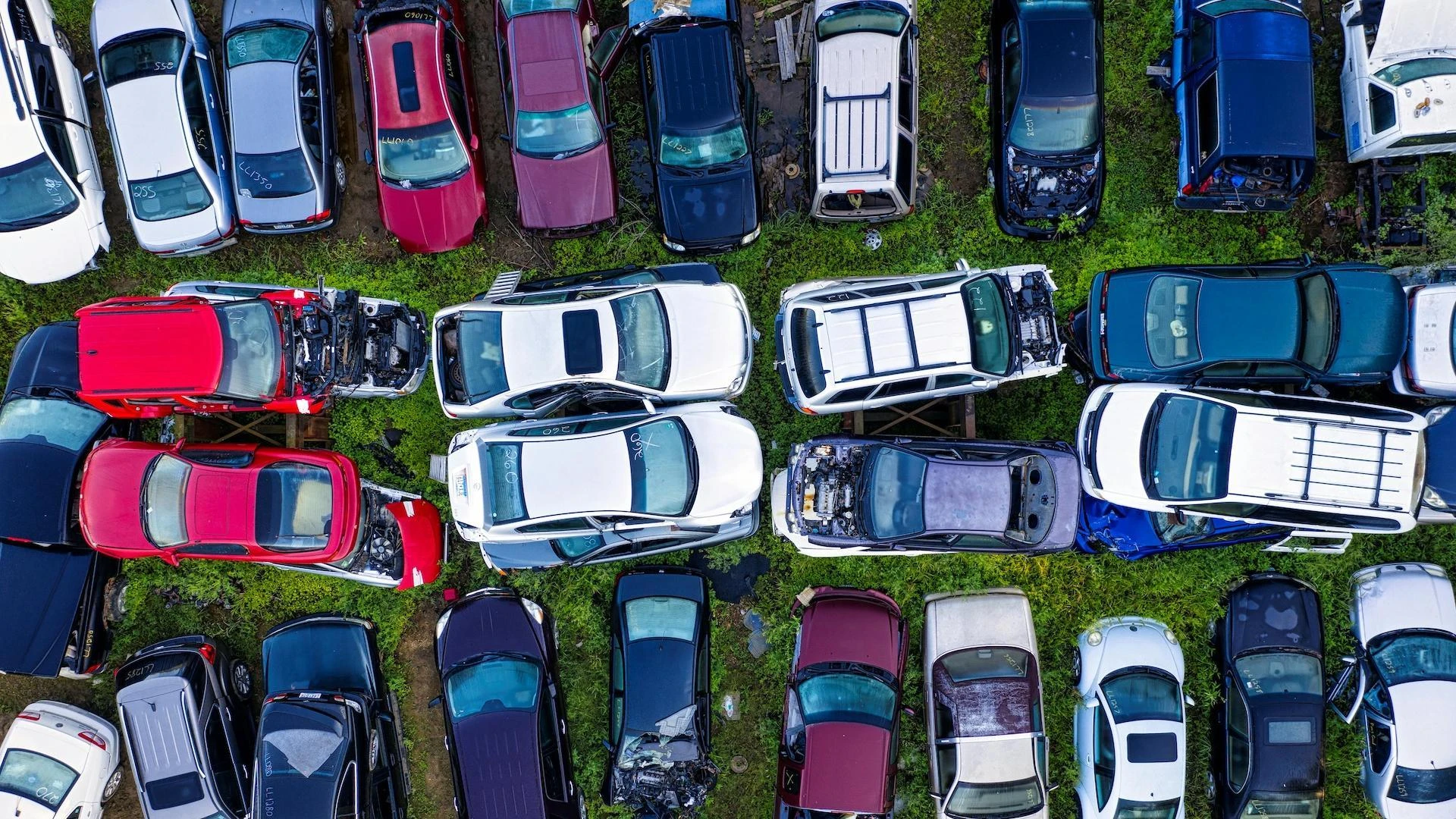 Nel mercato dell’usato vince la trasparenza: 9 automobilisti su 10 vogliono conoscere i danni dell’auto