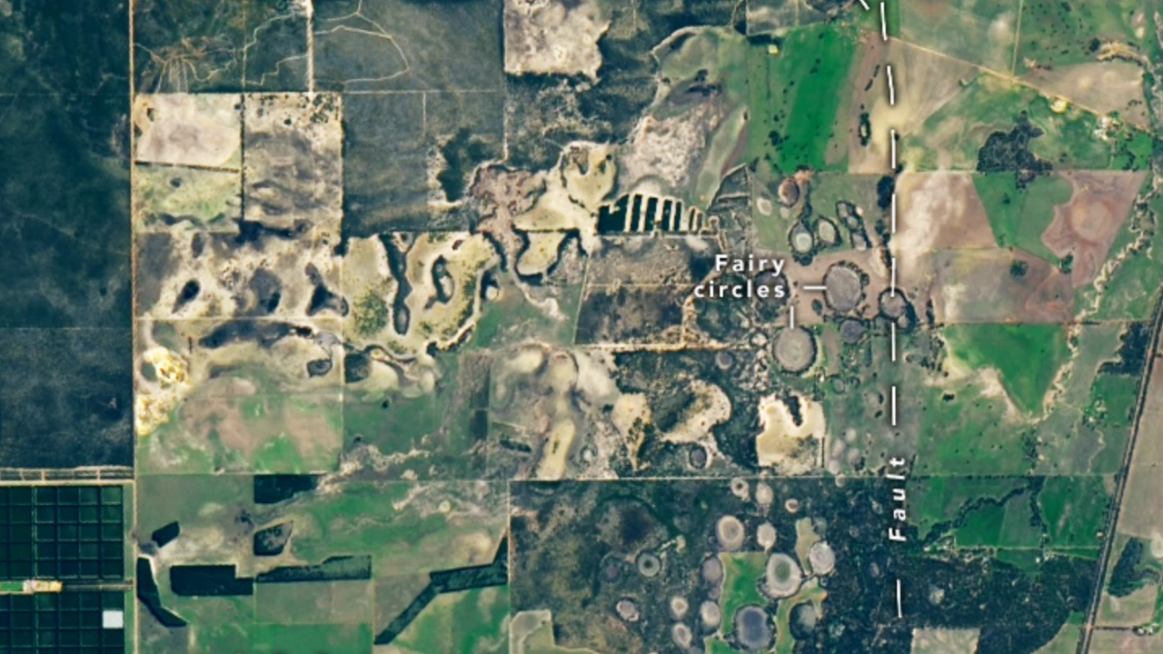 Scoperto il preziosissimo segreto dei fairy circle australiani