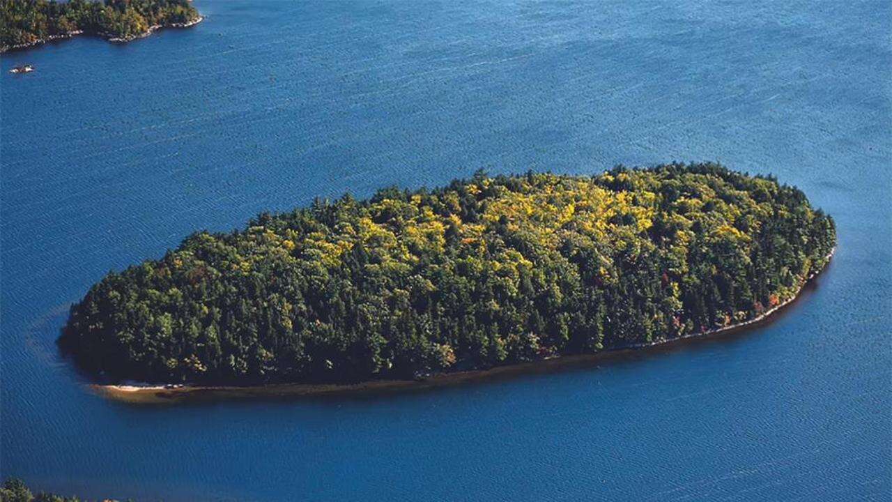 Un’isola deserta tutta per sé, costa molto meno di quanto t'aspetti