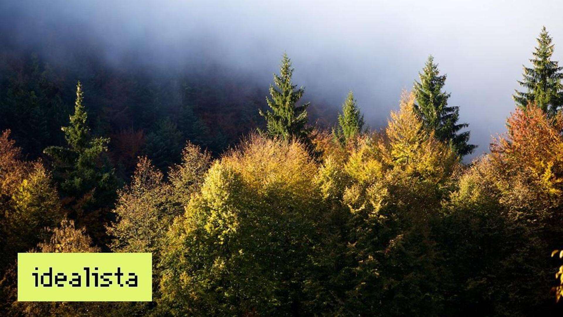 I 5 luoghi più belli dove ammirare il foliage autunnale: uno di questi è in Piemonte