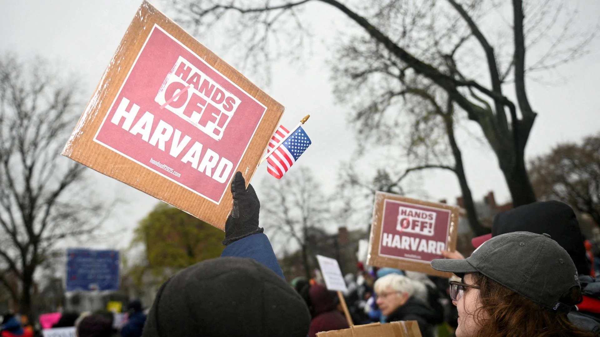 Harvard ha già perso 2,4 miliardi di dollari: ferme mille borse di studio, maxi taglio alla medicina