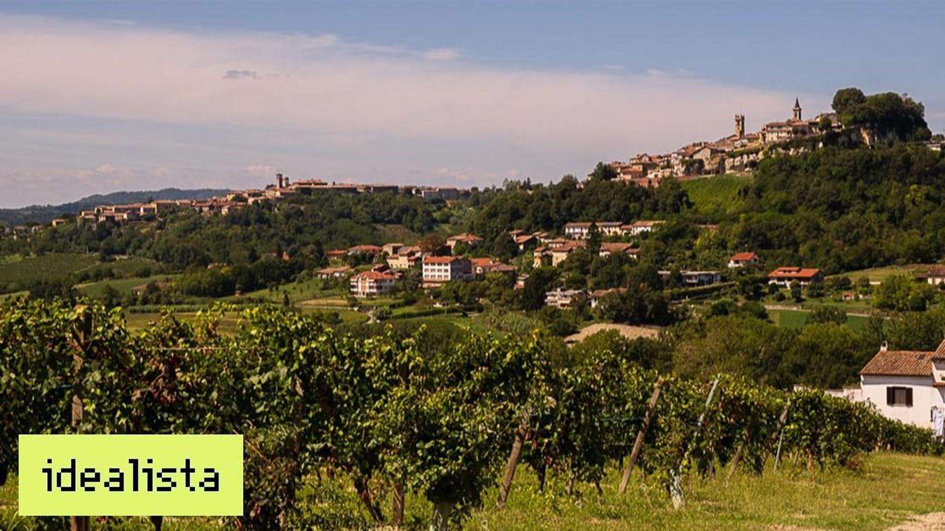 È tempo di vendemmia! Ecco i 3 borghi vinicoli da scoprire vicino ad Asti