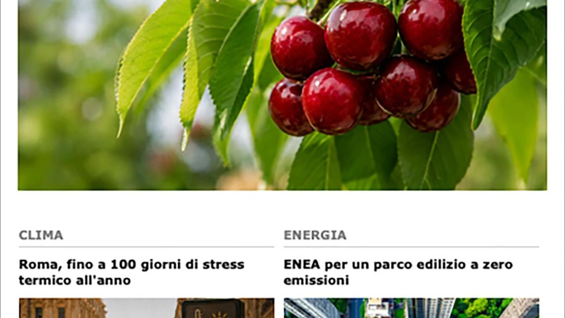 L’Enea contro il moscerino che attacca le ciliegie